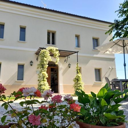 Villa Marietta Country House - Marche Montemaggiore al Metauro Екстериор снимка