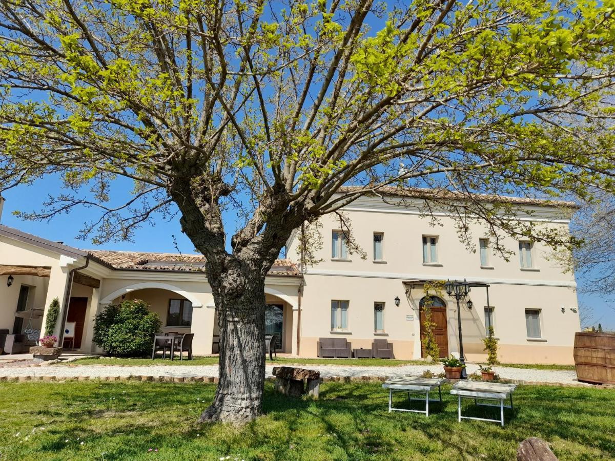 Villa Marietta Country House - Marche Montemaggiore al Metauro Екстериор снимка