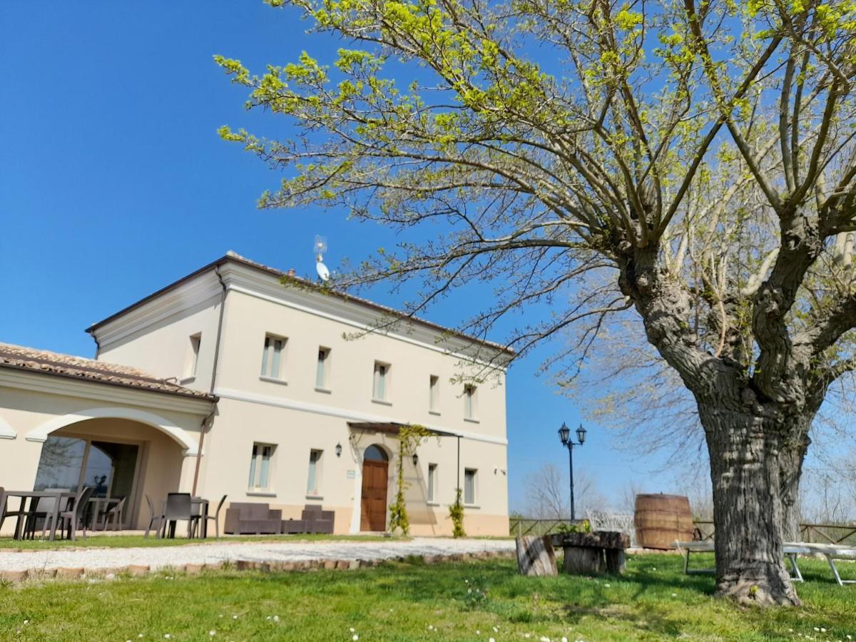 Villa Marietta Country House - Marche Montemaggiore al Metauro Екстериор снимка