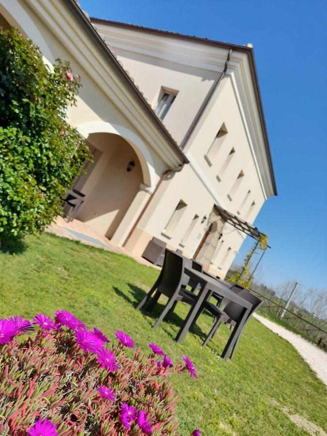 Villa Marietta Country House - Marche Montemaggiore al Metauro Екстериор снимка