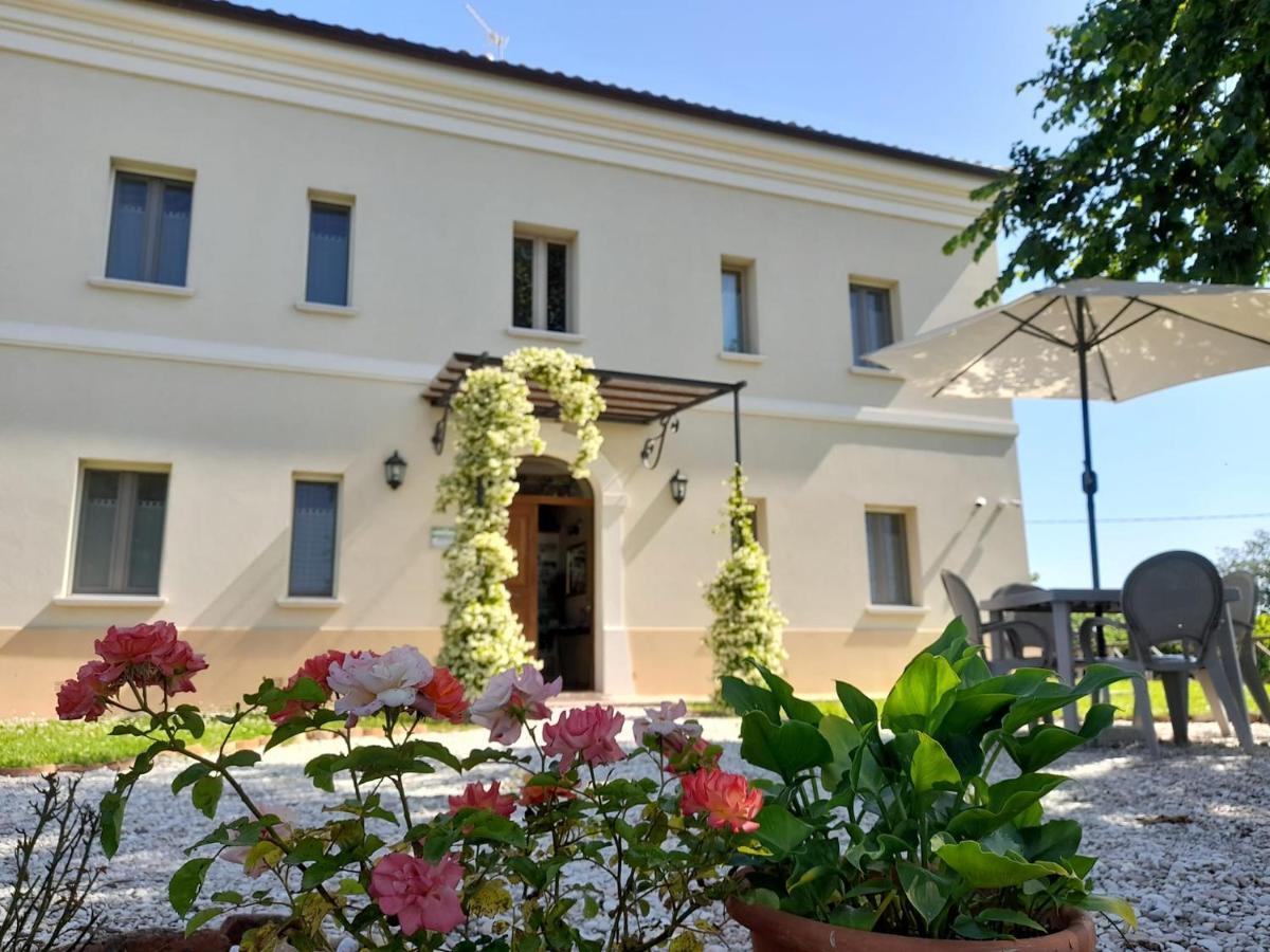 Villa Marietta Country House - Marche Montemaggiore al Metauro Екстериор снимка